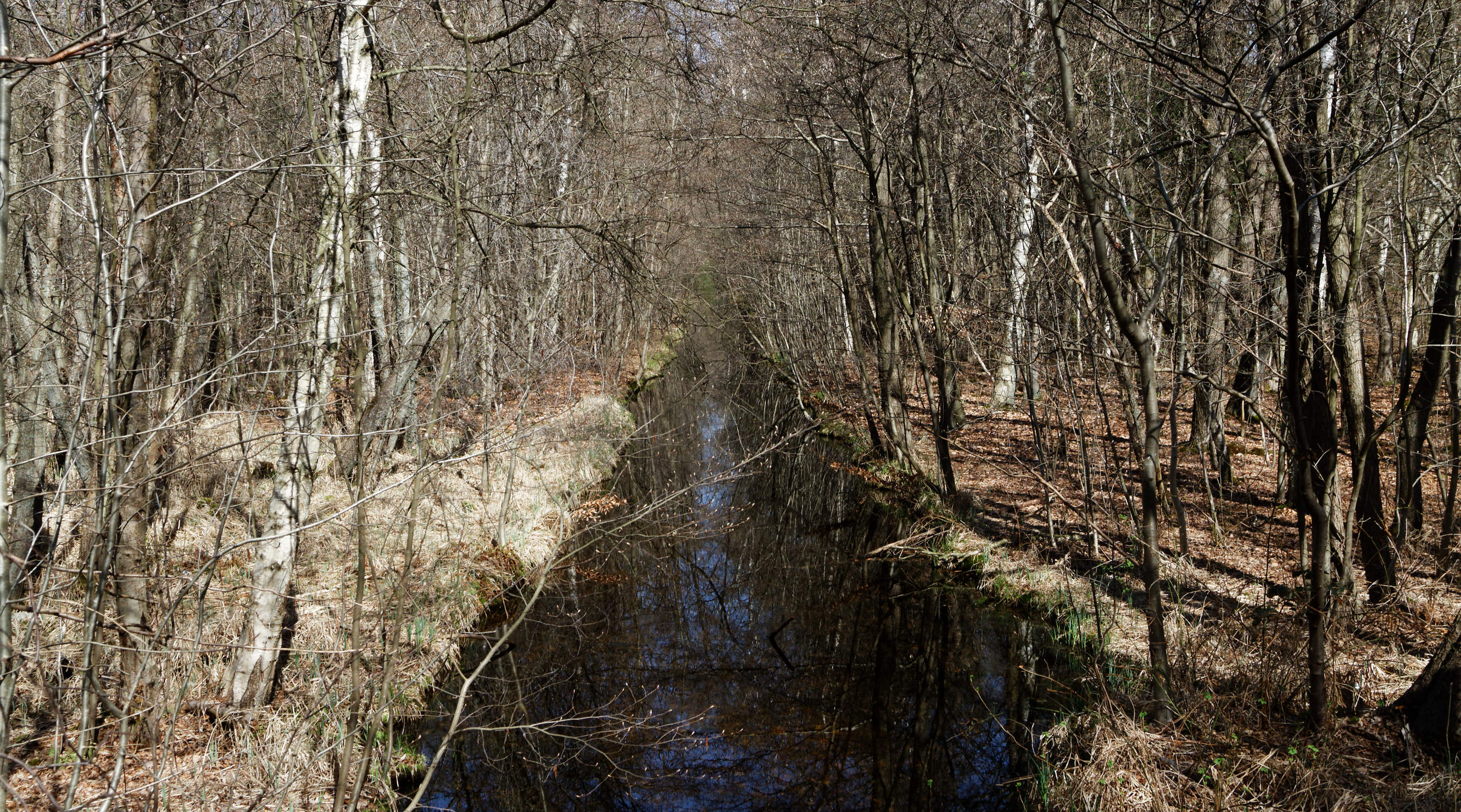 20210420 Lyngby Sø 47